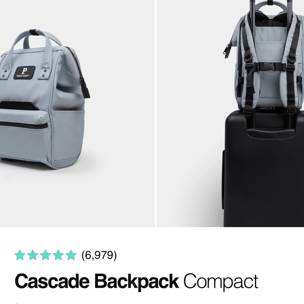 Gray Cascade Backpack